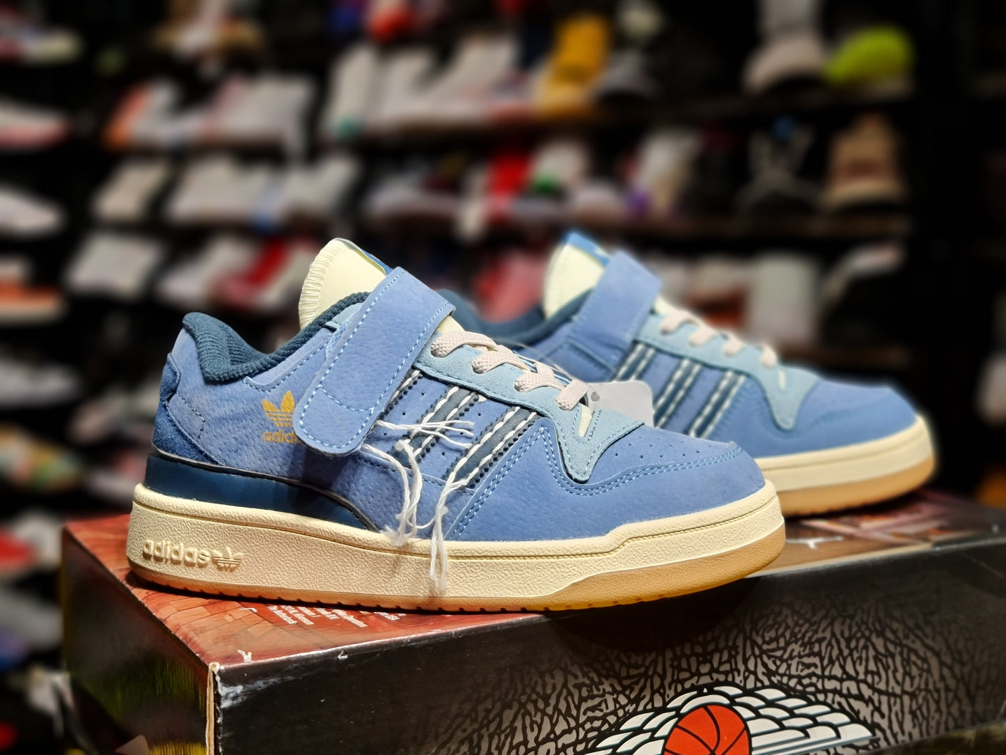ADDS FORUM BLUE KIDS