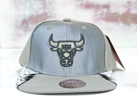 gorra Chicago Bulls Day 5 reflective SNAPBACK