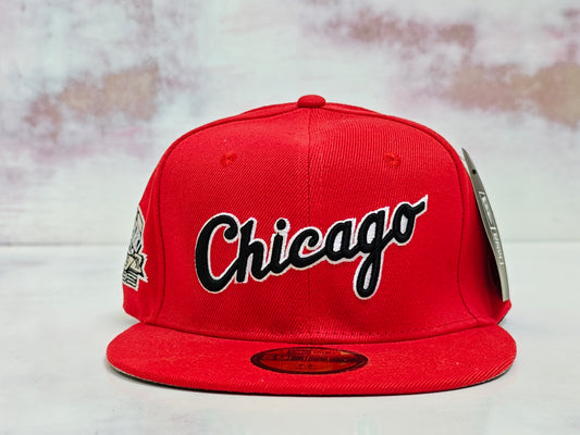 CHICAGO COMISKEY PARK 1991